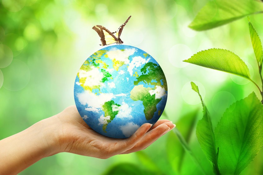 Plastic Free Awareness Month at Louise Fudge Colour Salon in Heswall